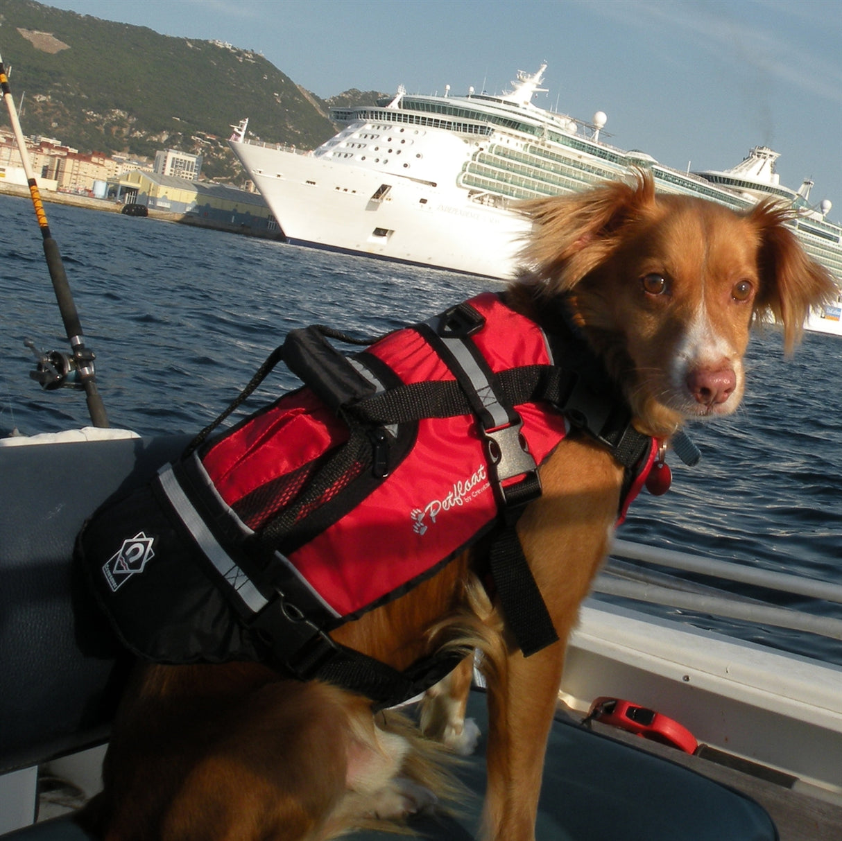 Dog life jacket 2370 XL