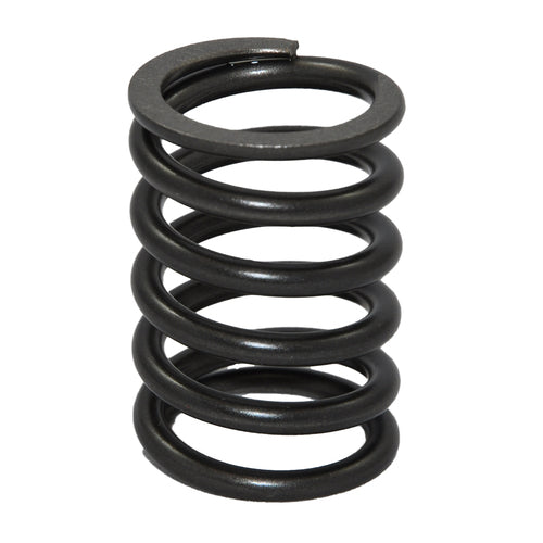 Bukh valve spring model XYZ123 Black 1.5 kg, spare part valve spring, safety and durability