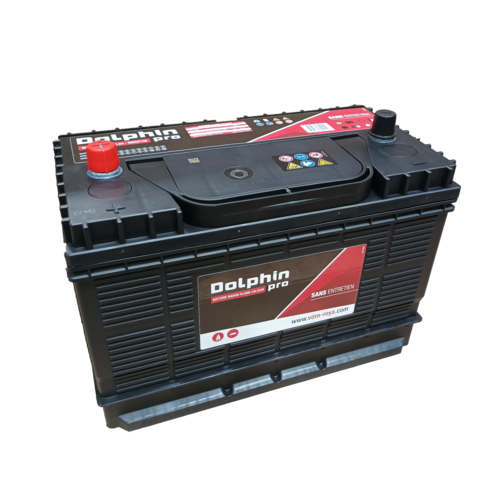 Dolphin PRO Marine Battery 105Ah 12V, AGM battery, maintenance-free with high starting power