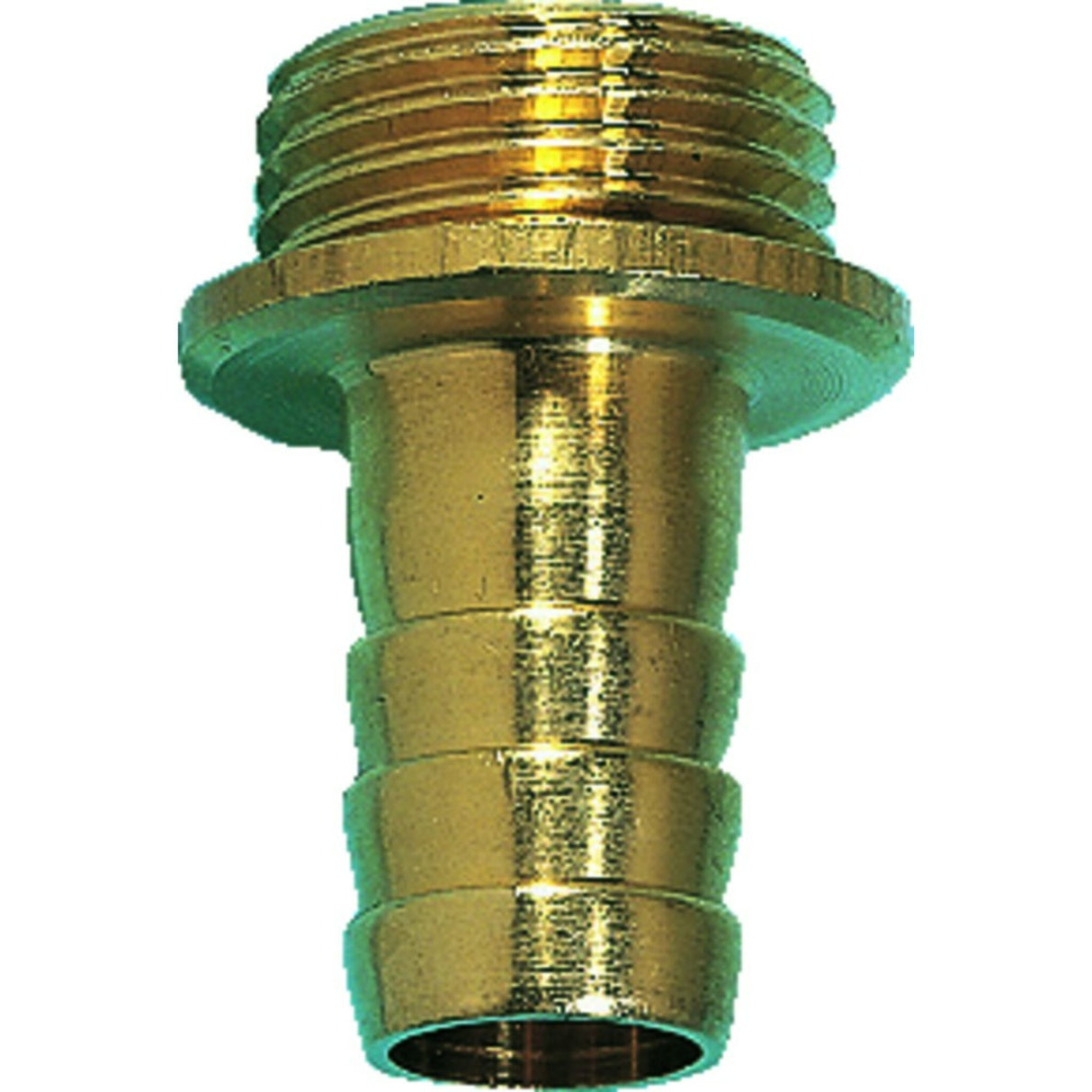 Messing Schlauchtülle Außengewinde mit Bund, Schlauchanschluss, langlebig und korrosionsbeständig - 12 - 38 mm (Optional mit Schlauchanschluss)
