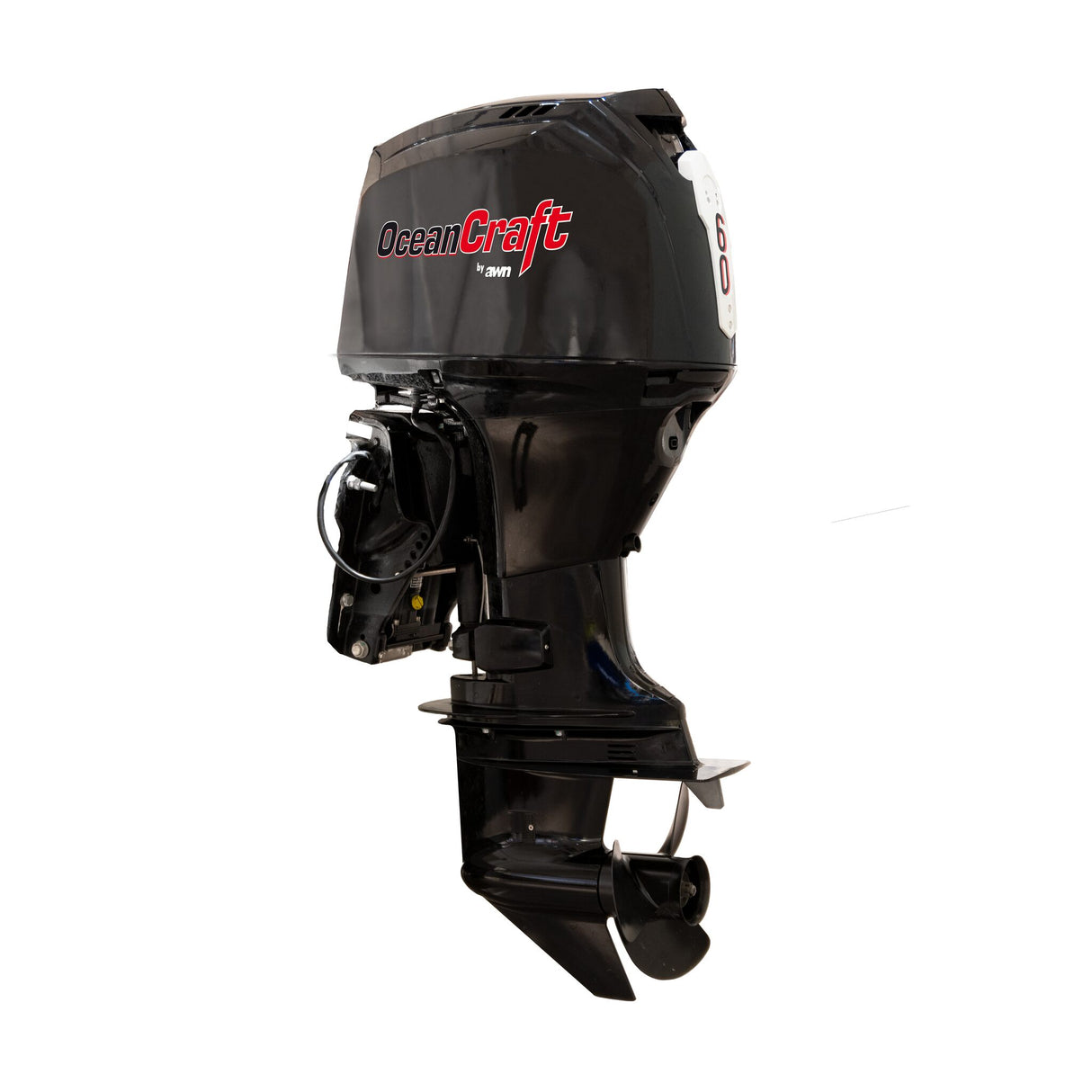OceanCraft outboard EFI 60 hp, boat engine, free installation on the boat