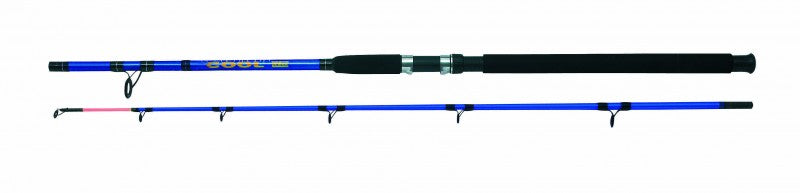 Boat rod fishing rod 2.10 m, inexpensive deep sea fishing rod, high casting weights up to 250 g