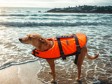 awn PawSaver Rettungsweste für Hunde, Größe nach Wahl