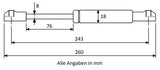 Gasdruckfeder 243mm / 76mm mit Kugelkopfaufnahme Schwarz