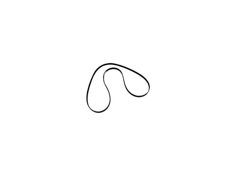 Riemen Belt-Serpentine