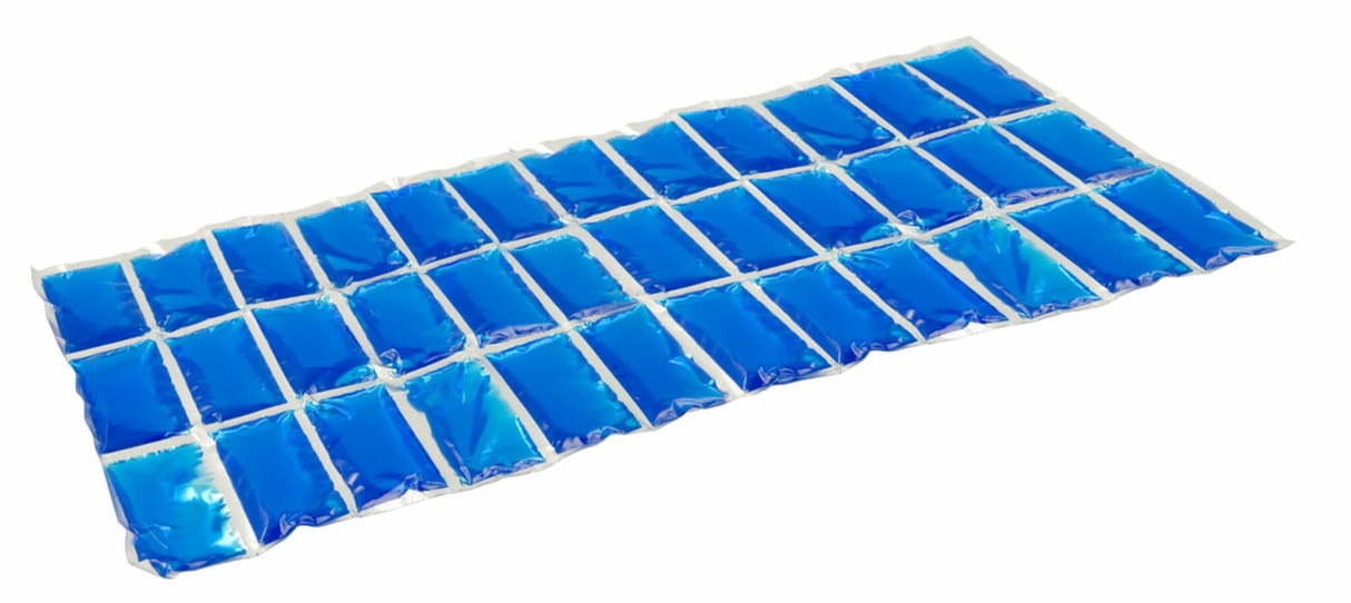 CAMPINGAZ Kühlpack Flexi Freez'Pack Größe L