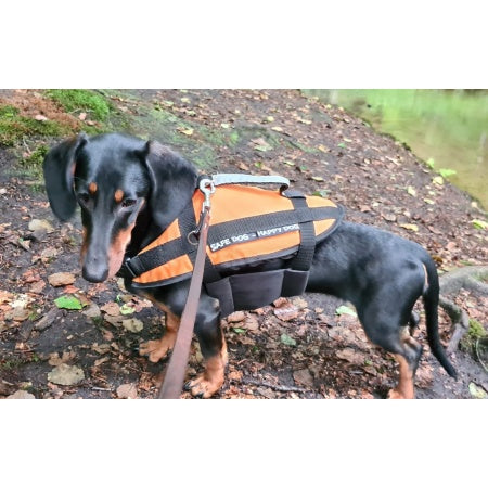 Hundeschwimmhilfe Gr.XL 40-60kg orange