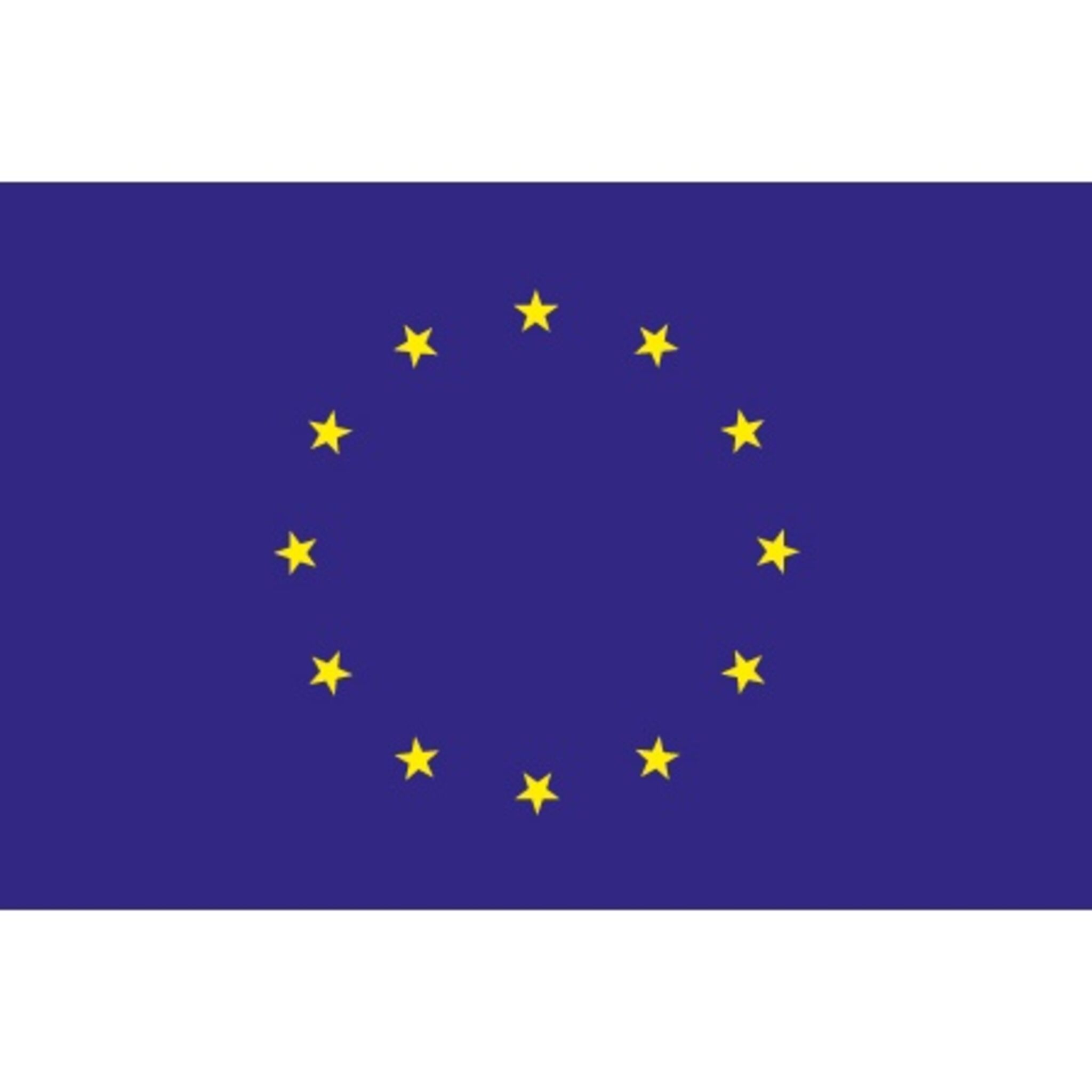 awn EU-Flagge / Europa-Flagge (30x45 cm)